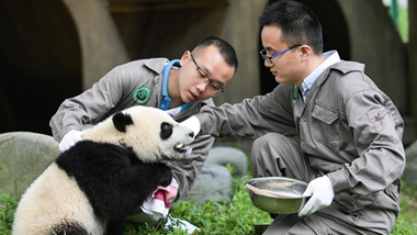 生态中国·锦绣天府梦邈然