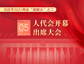 习近平2021两会“微镜头”之二：3月5日 人代会开幕，出席大会