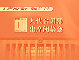 习近平2021两会“微镜头”之九：人代会闭幕 出席闭幕会